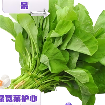 绿苋菜,金麦田提供,放心购买