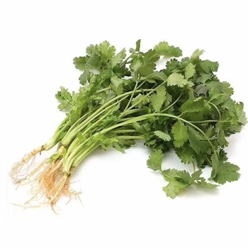 香菜,金麦田提供,放心购买