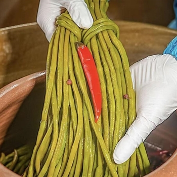 酸豆角,金麦田提供,放心购买