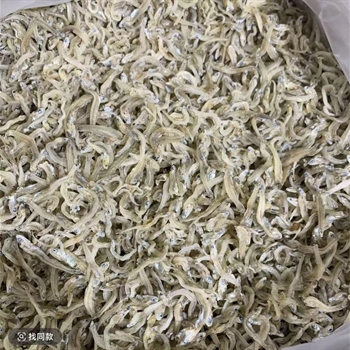 丁香干（鱼）,金麦田提供,放心购买