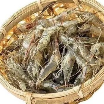 小湖虾 草虾(活),金麦田提供,放心购买